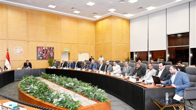 الشربيني يتابع موقف تنفيذ عدد من المشروعات السكنية بهذه المدن والمحافظات