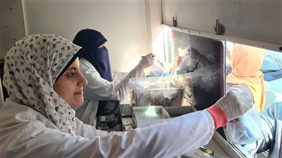 الكشف على 1242 مواطنا خلال قافلة طبية في البحيرة (صور)