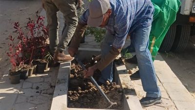 زراعة 2000 شجرة وشتلة ضمن المبادرة الرئاسية بالأقصر