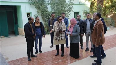 حنان مجدي توجه بتحديث التوصيف البيئي لمحافظة الوادي الجديد 