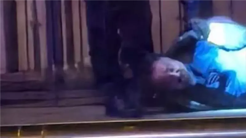 منفذ حادث المانيا،فيتو