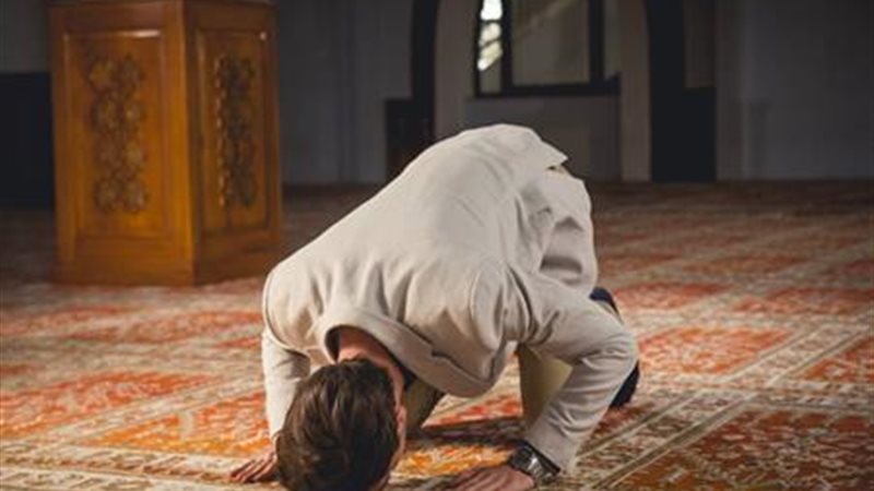 المختار للفتوى في