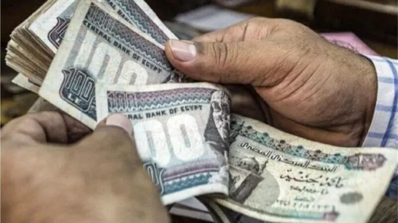 مرتبات شهر يناير