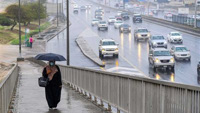 حالة الطقس ودرجات الحرارة المتوقعة غدا الثلاثاء 24 - 12 -2024