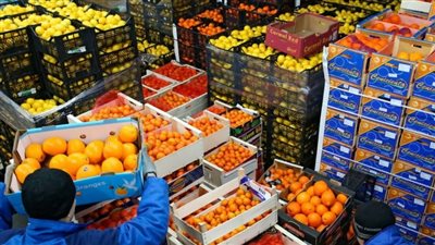 بالأرقام، أهم 9 سلع غذائية اخترقت الأسواق الدولية خلال عام 2024 