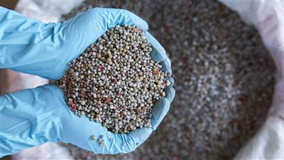 باستثناء السلفات، ارتفاع أسعار الأسمدة بالأسواق اليوم السبت 21/12/2024