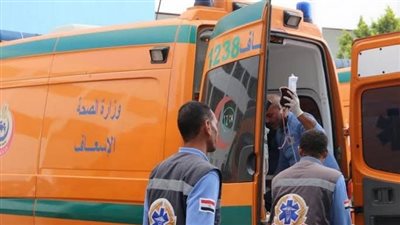 إصابة أب وطفليه في حادث تصادم بالوادي الجديد 