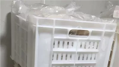 التحفظ على 1500 قطعة حواوشي بمطعم شهير في بورسعيد (صور) 