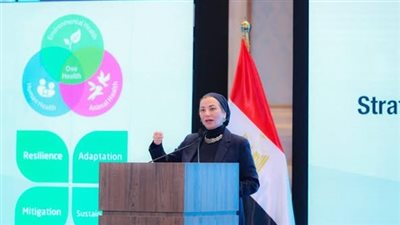 البيئة والصناعة في 2024.. بدء العمل ببرنامج الصناعات الخضراء المستدامة.. وفحص نماذج دراسات تقييم الأثر البيئي لأكثر من 7 آلاف مشروع