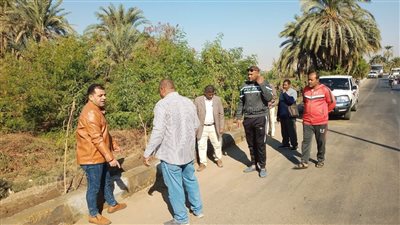 اتجاه لزيادة المساحات الخضراء بطريق المسار السياحي في الأقصر (صور)