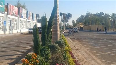 محافظة الأقصر: زراعة 122 ألف شجرة خلال عام 2024