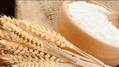 التموين: توريد 3.43 مليون طن قمح و22 منشأ لاستيراده 