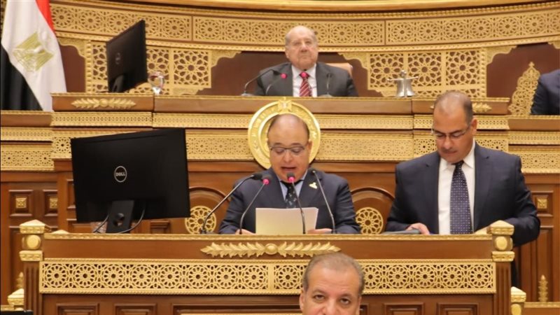 مجلس الشيوخ، فيتو