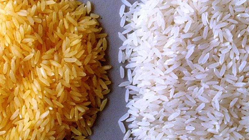سعر الارز