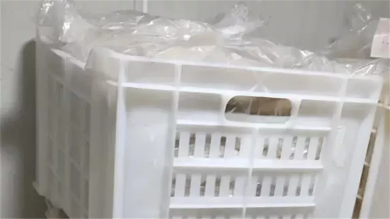 ضبط 1500 قطعة حواوشي