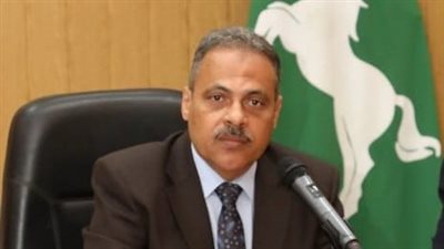 مدير صحة الشرقية يتابع حالات مصابي حادث الطريق الإقليمي ببلبيس