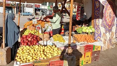  لحوم ودواجن وخضراوات وفاكهة بأسعار مخفضة بالمنافذ الثابتة والمتنقلة بالوادي الجديد 