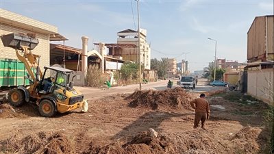 رفع 350 طن مخلفات بالمنطقة الصناعية في الدقهلية (صور) 