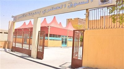 تطوير السوق الحضري، أبرز إنجازات مدينة الأقصر في 2024 