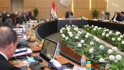 الكهرباء: اتخاذ كافة الإجراءات لمنع السرقات وحماية الشبكة من الأحمال غير القانونية