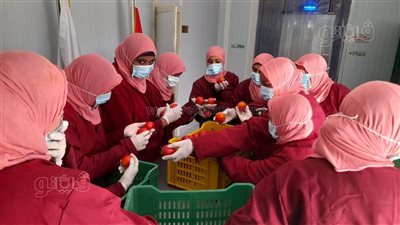 تفاصيل فعاليات ملتقى 