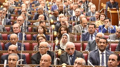 الحكومة تتمسك بعقوبة الحبس في حق الأطباء حال مخالفة قانون المسئولية الطبية 