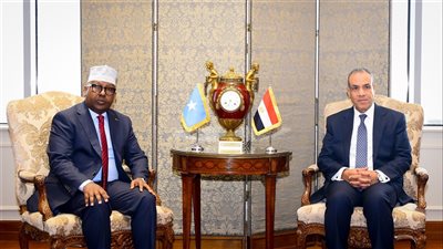 ترفيع العلاقات إلى مستوى الشراكة الاستراتيجية، تفاصيل البيان المشترك بين مصر والصومال (صور)