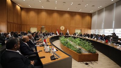 مصر تحصل على 11 مركزًا من الـ 25 الأوائل في تصنيف سيماجو الإسباني 