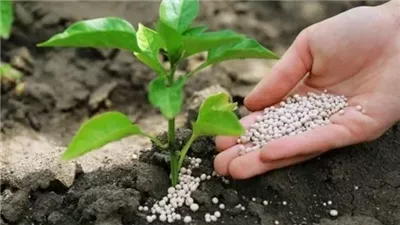 تجاوزت الـ 3 آلاف جنيه، ارتفاع أسعار جميع أنواع الأسمدة بالأسواق