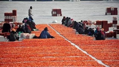 اليوم، انطلاق ملتقى التسويق الأول للخضر والفاكهة المجففة 