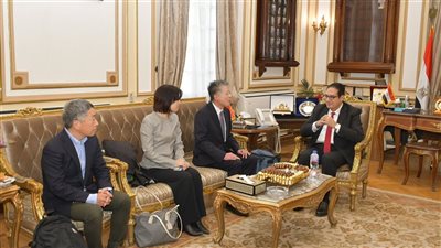 جامعة القاهرة تبحث مع نظيرتها 