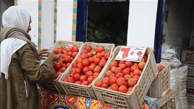 أسعار السلع بمعرض سوق السمك القديم بجنوب الجيزة، كيلو اللحم بـ 210 جنيهات والأرز بـ 22 (صور)