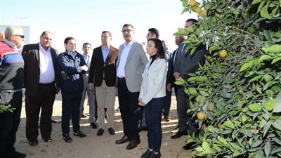 وزير الزراعة الأردني: البرتقال المصري يلقى رواجا وإقبالا من المستهلكين الأردنيين