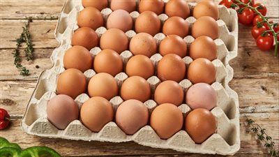 أسعار البيض اليوم الثلاثاء 24 ديسمبر 2024 في الأسواق