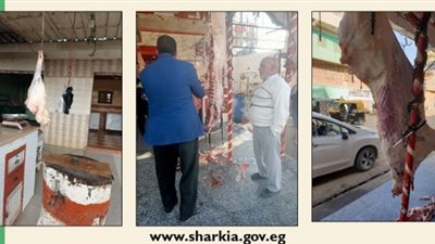  ضبط 575 كيلو لحوم مجمدة ومصنعات في حملات تفتيشية بالشرقية