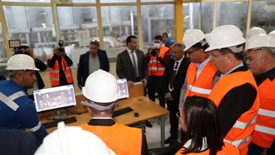 وزير الزراعة: التعاون العربي أصبح ضرورة لتحقيق الأمن الغذائي 