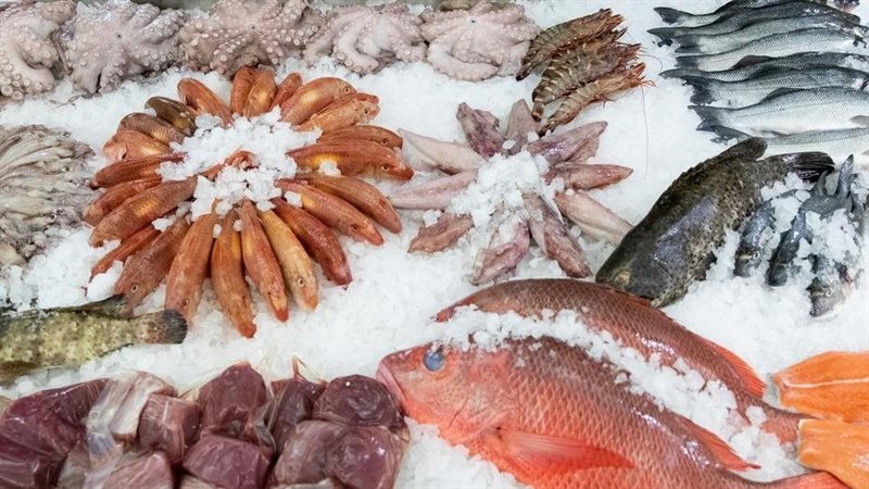 أسعار السمك اليوم،