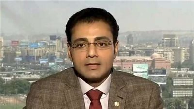 د. محمد أنيس: إصلاح أو دمج بعض الهيئات الاقتصادية الـ59 بات ضرورة لتحسين الكفاءة التشغيلية.. ويجب تحويل البيروقراطية 