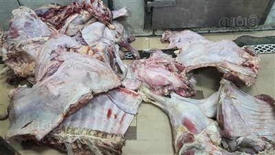 ضبط 13 طن لحوم غير صالحة للاستهلاك الآدمي وتحرير 17 محضرا في حملة بأسواق أسوان (صور)