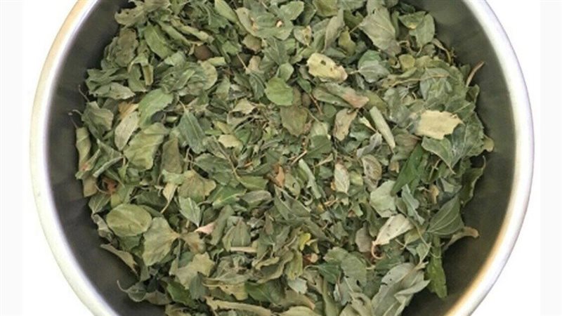 ورق السدر وفوائده