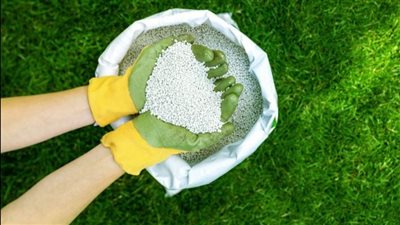 انخفاض طن اليوريا، أسعار الأسمدة بالأسواق