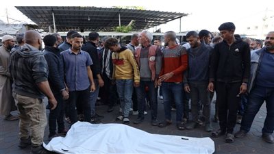 مشاهد مؤلمة، كلاب ضالة تنهش جثامين الشهداء فى غزة