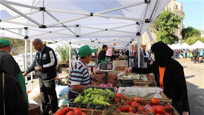 اليوم، فعاليات جديدة لسوق اليوم الواحد المزارعين بالإسكندرية والاحتفال بالعام الجديد