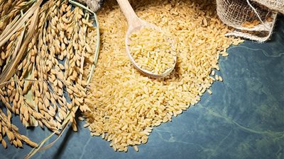 بكام سعرالأرز اليوم الخميس 26-12-2024 في الأسواق 