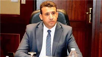 عمرو فتوح: هناك أهمية لتحسين بيئة الاستثمار لتشجيع ريادة الأعمال والمشروعات الصغيرة