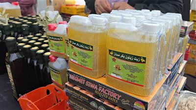 إقبال كثيف على زيت الزيتون في مهرجان حديقة الحرية.. الأسعار تبدأ من 350 جنيها.. وهذه أبرز فوائده الغذائية والصحية (فيديو وصور)