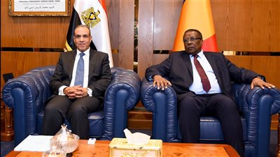 وزير الخارجية يؤكد من تشاد: الأمن المائي المصري أمر لا تهاون فيه