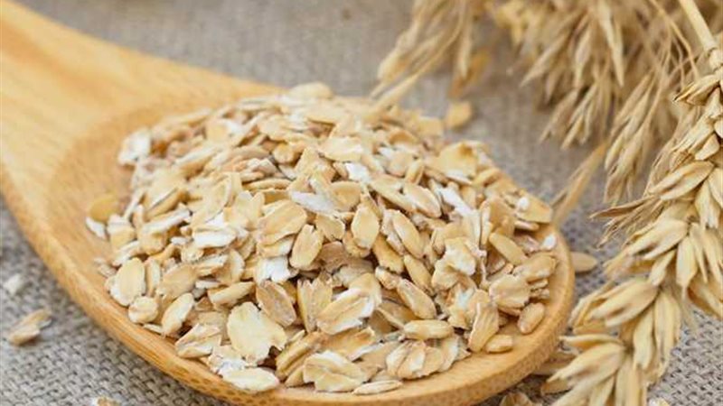 أسعار الشوفان اليوم،