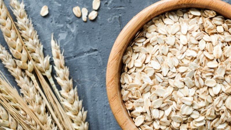 أسعار الشوفان اليوم،