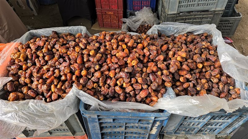تصدرت البلح قوائم